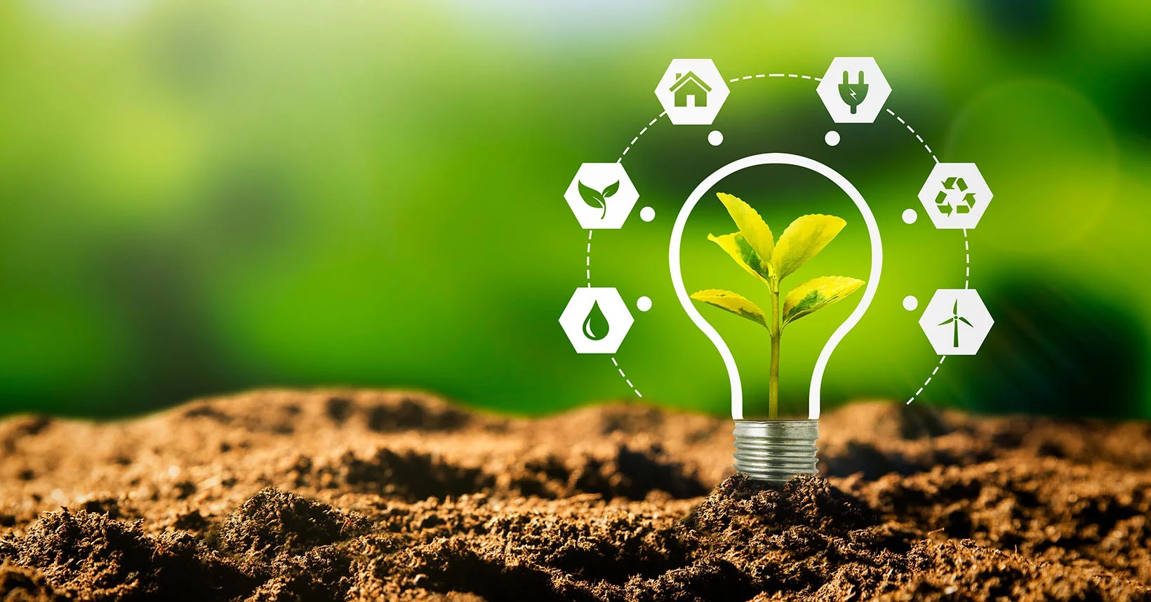 Sustainability in Today’s Rapidly Changing Business Environment